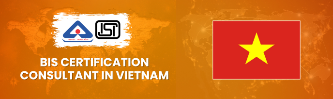 bis consultancy in Vietnam